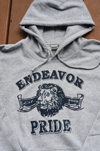 Distressed Retro Lion Hoodie Sweatshirt